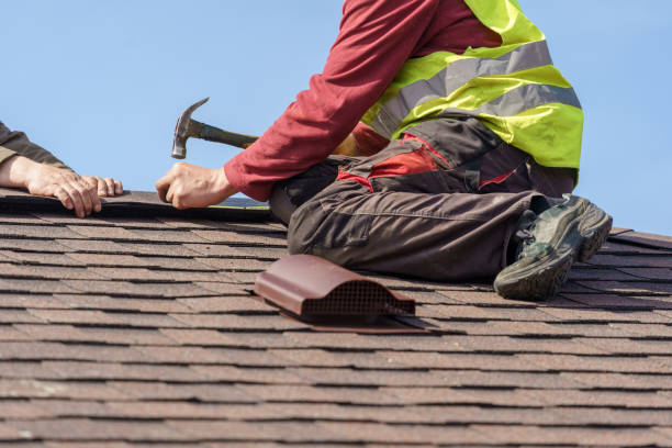 Best Roof Gutter Cleaning  in Columbia, TN